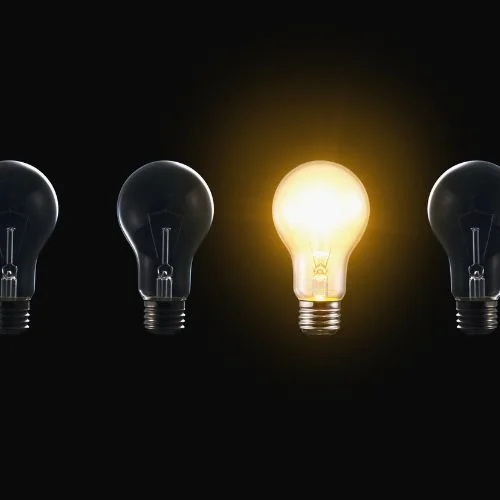 Light bulb illuminated among dark bulbs representing innovative insights and breakthrough ideas in food and agriculture