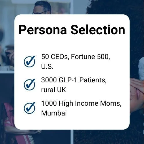 Persona Selection - showing demographic targeting options